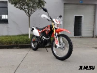 Мотоцикл ROLIZ SPORT-004 ZS172FMM-6 250 cc с ПТС