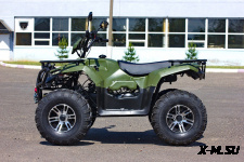 Квадроцикл IRBIS ATV 250 LUX (+лебедка)