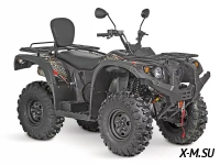 Квадроцикл Striker 700 EFI
