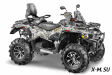 Квадроцикл STELS ATV800 (TE) ГЕПАРД 2.0 K01 EPS GN