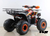 Квадроцикл SSSR Master