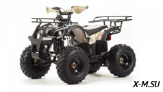 Квадроцикл MOTOLAND (МОТОЛЕНД) 125 WILD BASIC A